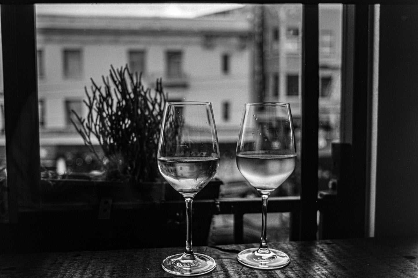 FOMO 100 B&W - 35mm FOMAPAN